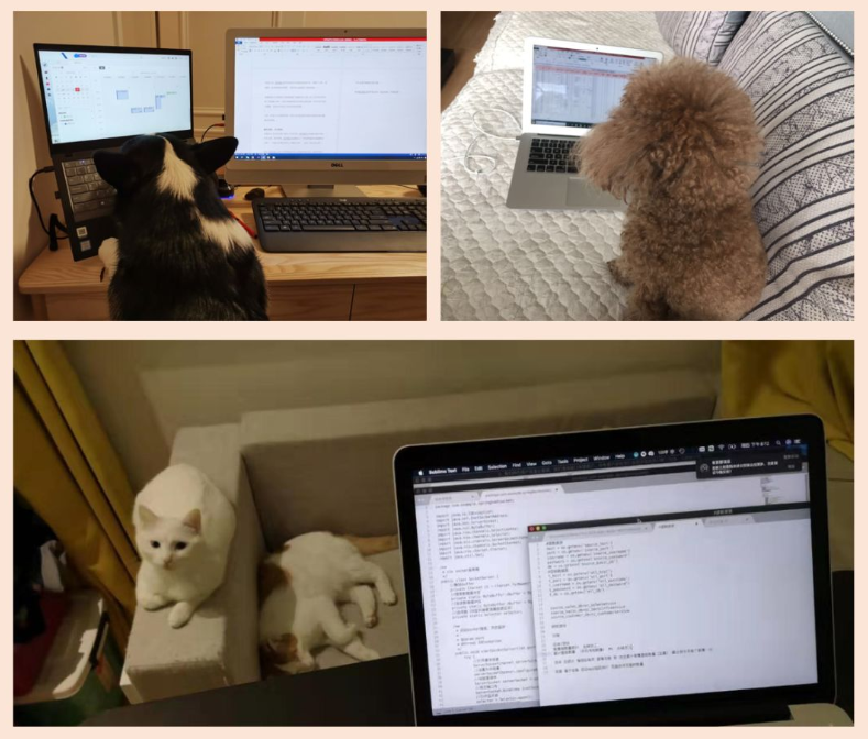 一家養(yǎng)老數(shù)字化公司的在家辦公之旅(圖4)