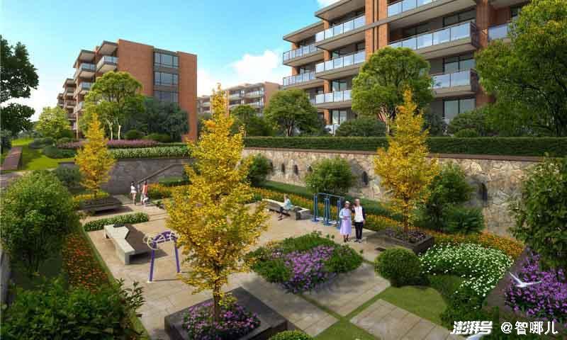 智慧養(yǎng)老怎么“養(yǎng)”？不要讓科技成為老年群體的束縛(圖2)